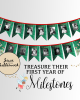 Fairy First Year Photo Banner Printable Fairy First Year Photo Banner Printable