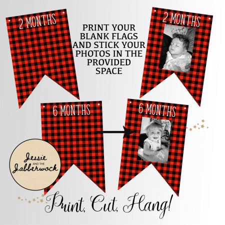 Bear First Year Photo Banner Printable Bear First Year Photo Banner Printable