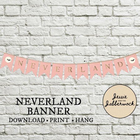 Pink Neverland Banner Pink Neverland Banner