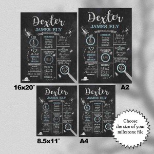 Insects, Bug Chalkboard Style Milestones