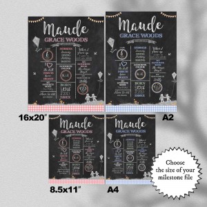 Teddy Bear Chalkboard Style Milestones