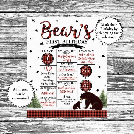 Brown Bear Plaid Milestones Brown Bear Plaid Milestones