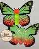 Caterpillar Apple Invite Caterpillar Apple Invite