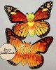 Caterpillar Apple Invite Caterpillar Apple Invite