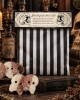 Spine Tingling Skulls Sweet Bag Spine Tingling Skulls Sweet Bag