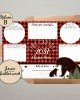 Brown Bear Time Capsule Brown Bear Time Capsule
