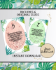 Dinosaur Treasure Hunt Printable Dinosaur Treasure Hunt Printable