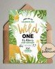 Wild One Party Set Wild One Party Set