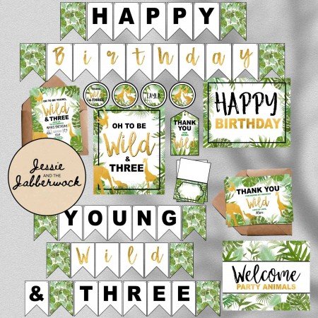 Young, Wild & THREE party set Young, Wild & THREE party set